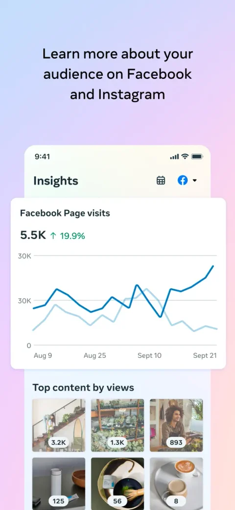 Meta Business Suite app on iPhone: Insights: Page visits and top content